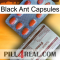 Black Ant Capsules 36